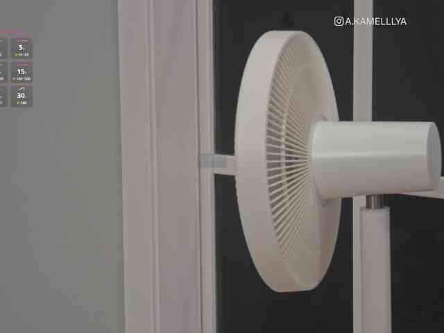 Kamelllya webcam