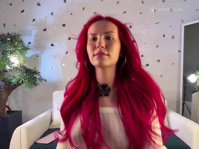 Kamelllya webcam