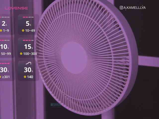 Kamelllya webcam