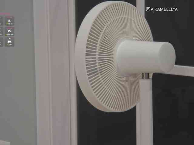 Kamelllya webcam