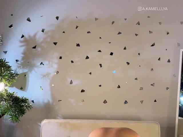 Kamelllya webcam