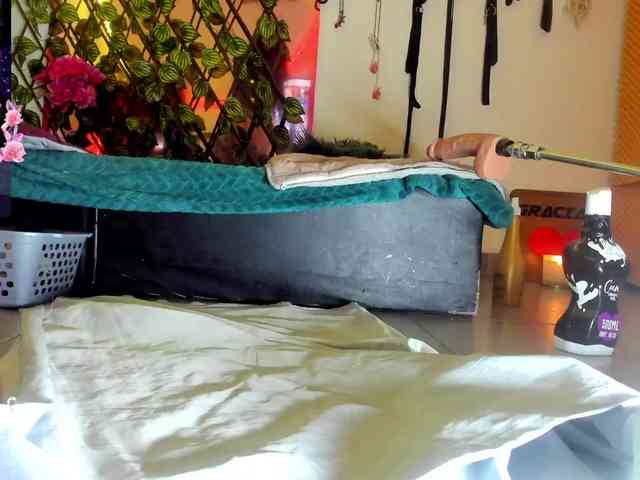 elektra-32 webcam