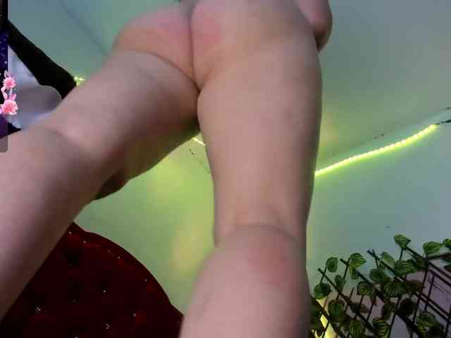 elektra-32 webcam