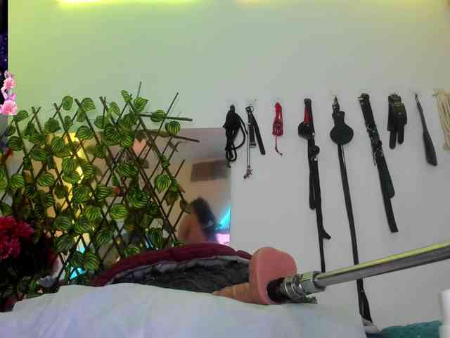 elektra-32 webcam