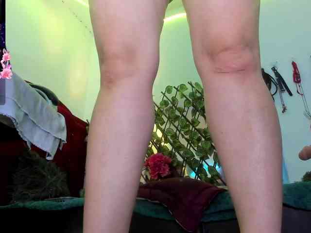elektra-32 webcam