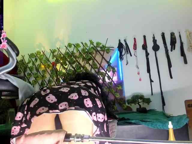 elektra-32 webcam