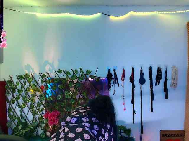 elektra-32 webcam