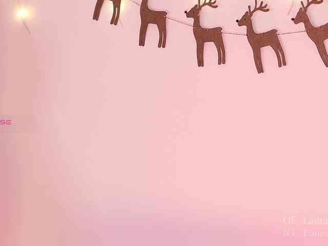 Kassia-Rogers Kassia-Rogers