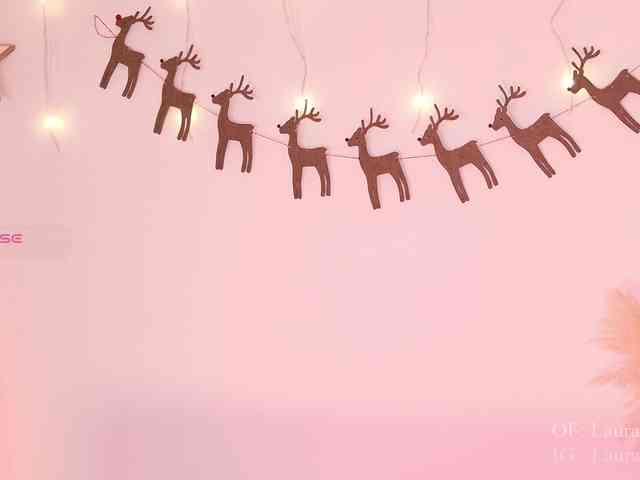 Kassia-Rogers Kassia-Rogers