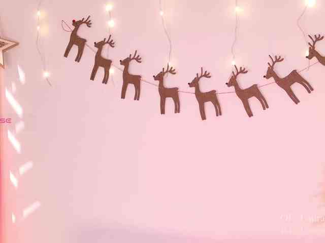 Kassia-Rogers webcam