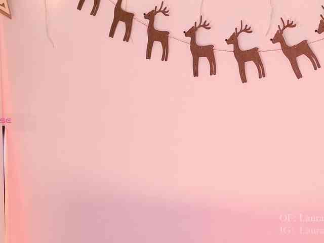 Kassia-Rogers webcam