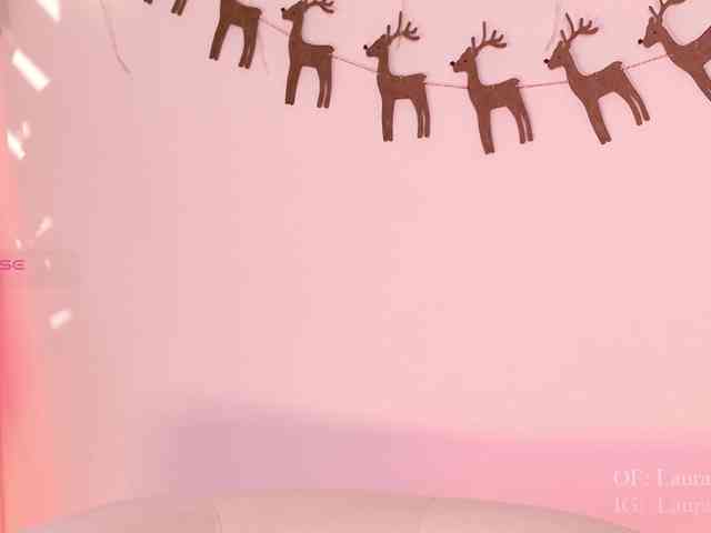 Kassia-Rogers webcam