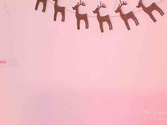 Kassia-Rogers Kassia-Rogers