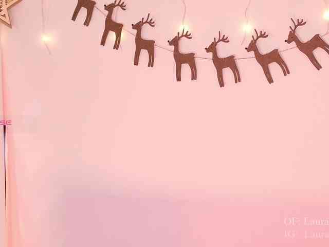 Kassia-Rogers webcam