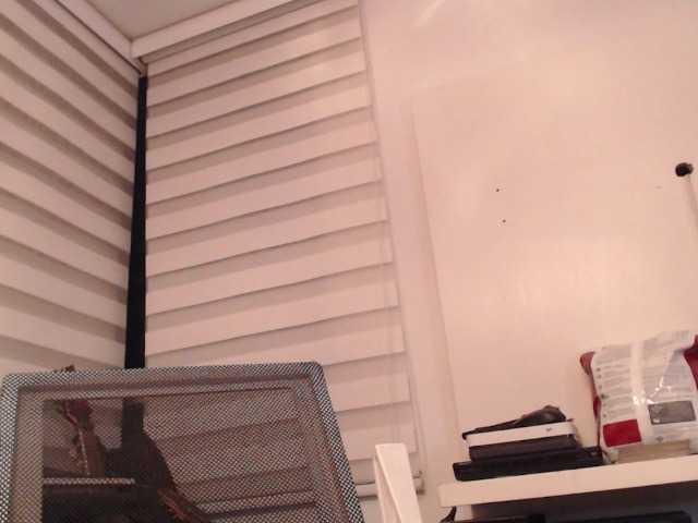 Jane-r's BongaCams show and profile