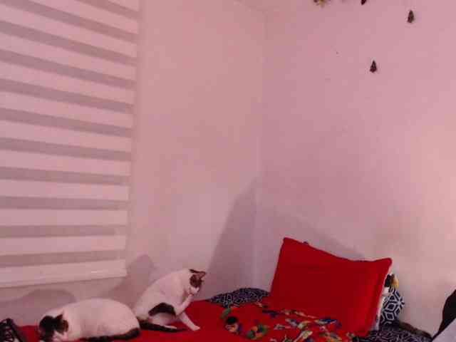 Jane-r webcam