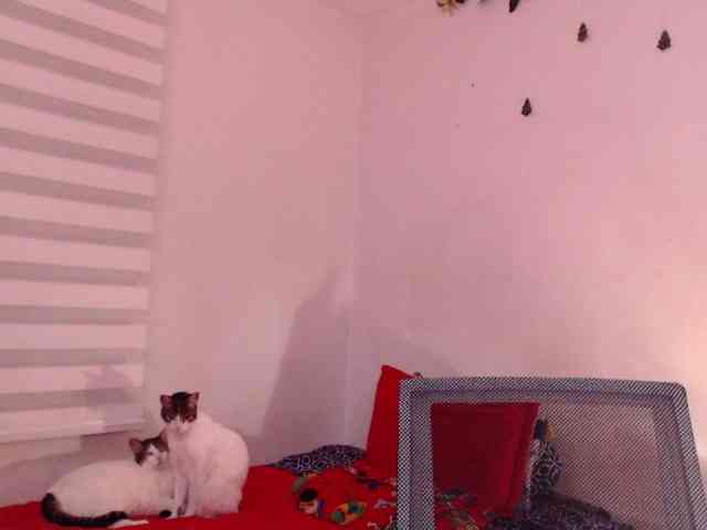 Jane-r webcam