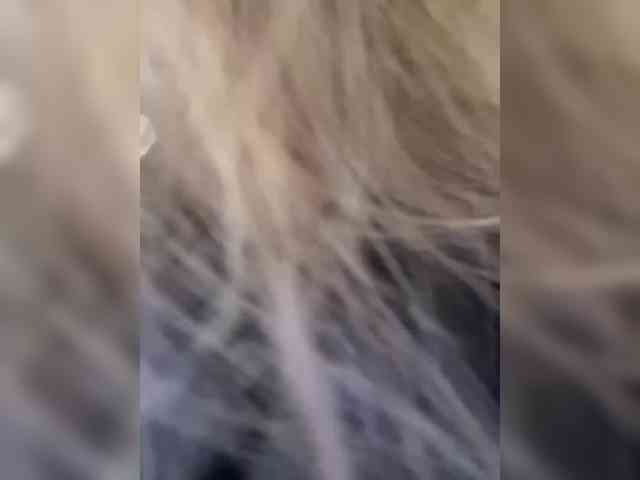 _Lasker_ webcam