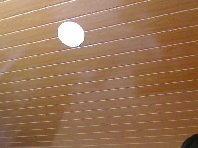 Wtwins's BongaCams show and profile