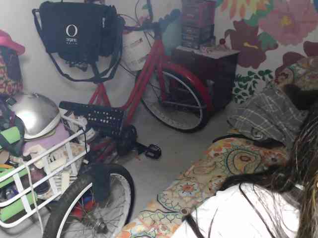 Wtwins webcam