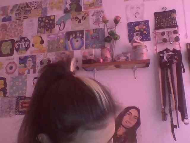 Wtwins webcam
