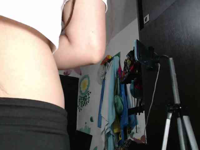 Wtwins webcam