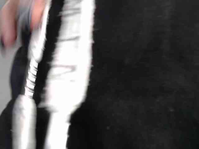 Wtwins webcam