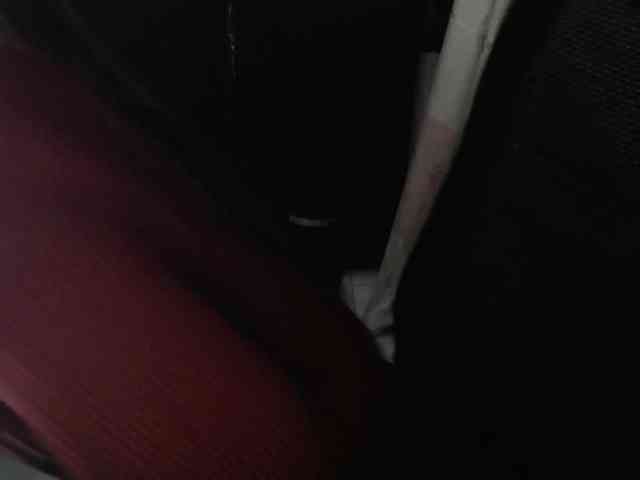 Wtwins webcam
