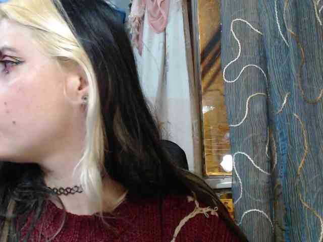 Wtwins webcam