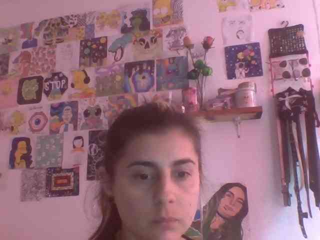 Wtwins webcam
