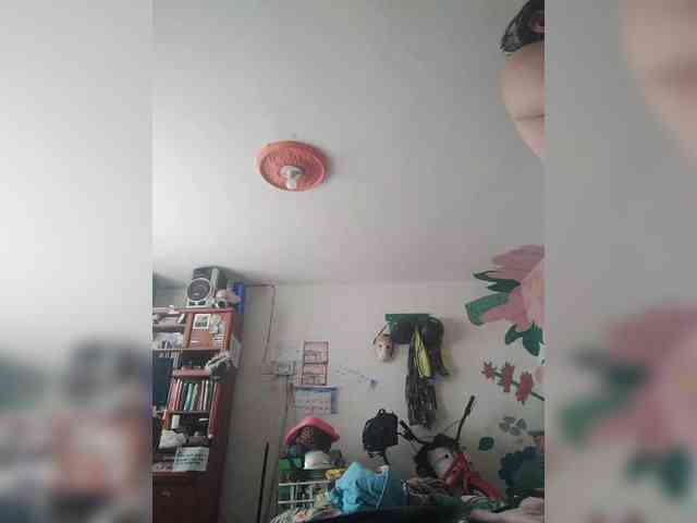 Wtwins webcam