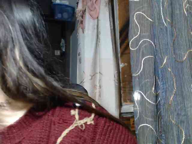 Wtwins webcam