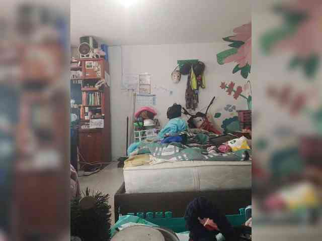 Wtwins webcam
