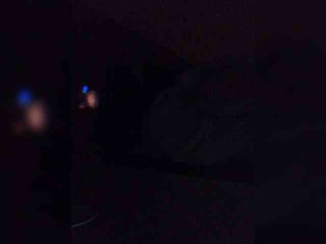 Wtwins webcam