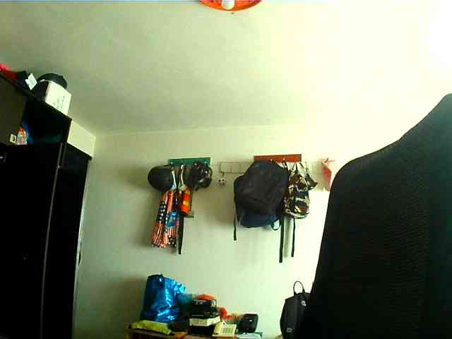 Wtwins webcam