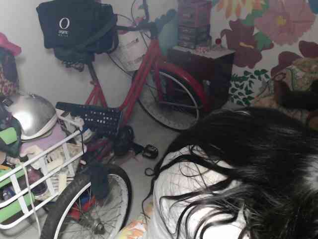 Wtwins webcam