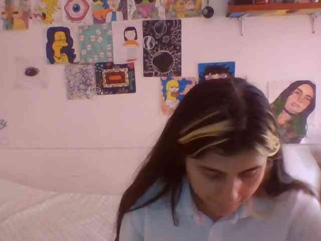 Wtwins webcam