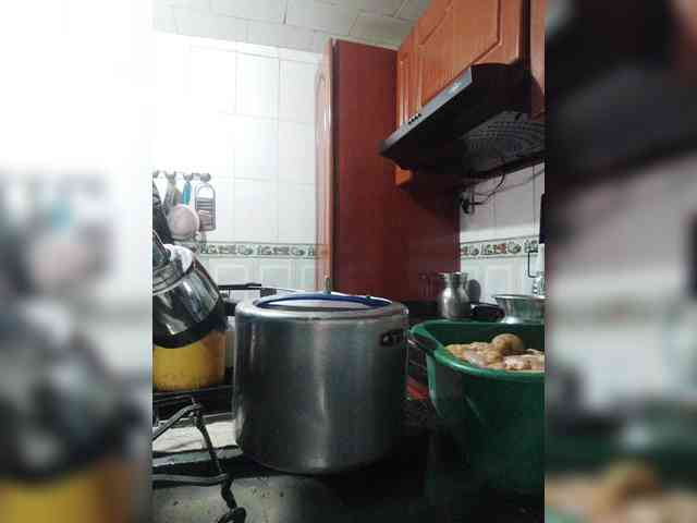 Wtwins webcam