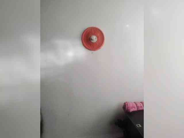 Wtwins webcam