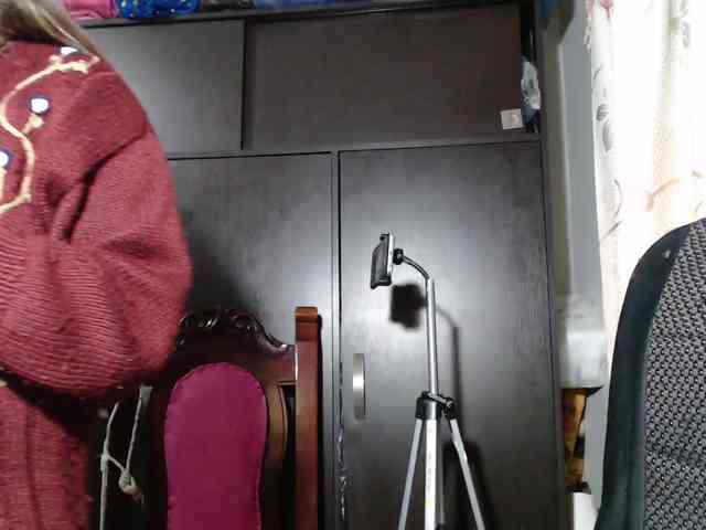 Wtwins webcam