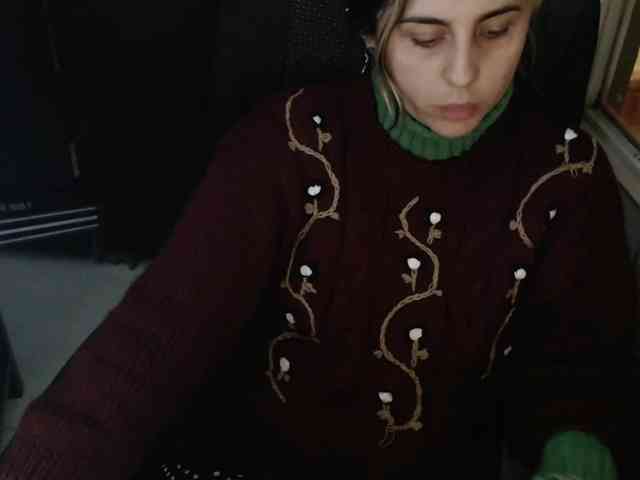 Wtwins webcam