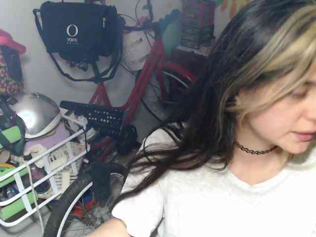 Wtwins webcam