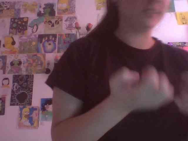 Wtwins webcam