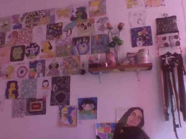 Wtwins webcam