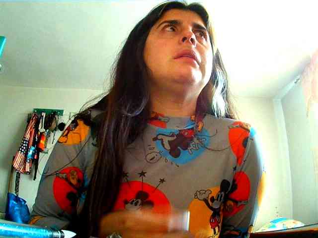 Wtwins webcam