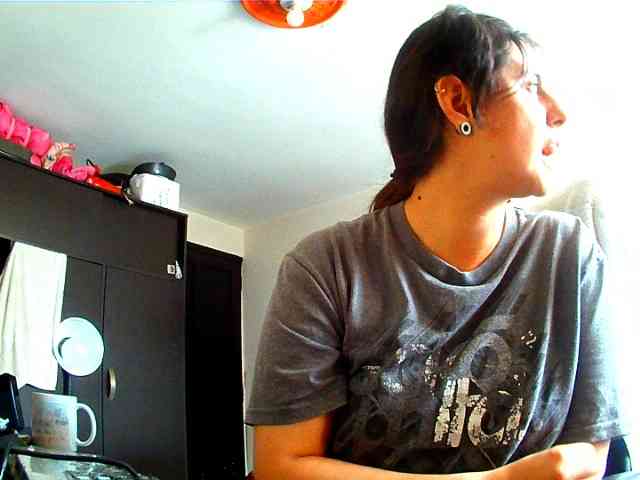 Wtwins webcam