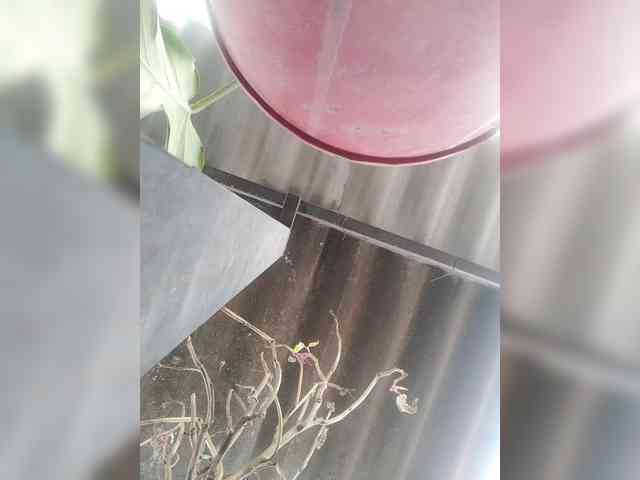 Wtwins webcam
