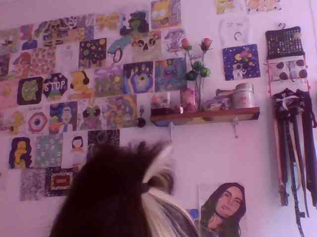 Wtwins webcam