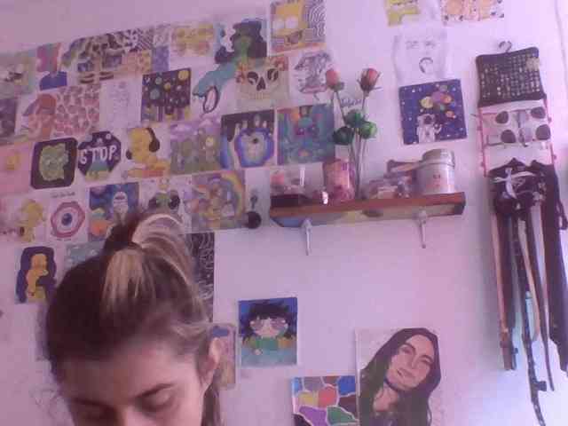Wtwins webcam