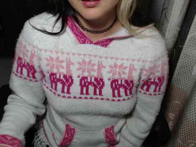Wtwins webcam